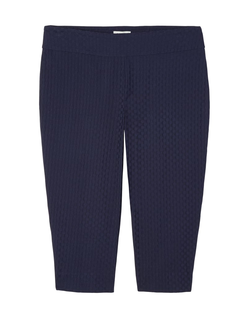 Front of plus size Tokyo Pull-On Capri by Meera Lane | Dia&Co | dia_product_style_image_id:118988